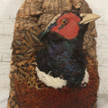 Lot 005 - Vintage Taxidermy Ring-Necked Pheasant Head Mount On Faux Bark Cork Plaque With Wire Hanger