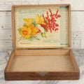 Lot 022 - Antique Flower Seed Store Wooden Display Box With Interior Lithographed Paper Label, Mandeville & King Co., Superior Flower Seeds, Rochester, New York, Copyright 1904, Label By Stecher Lithograph Co.
