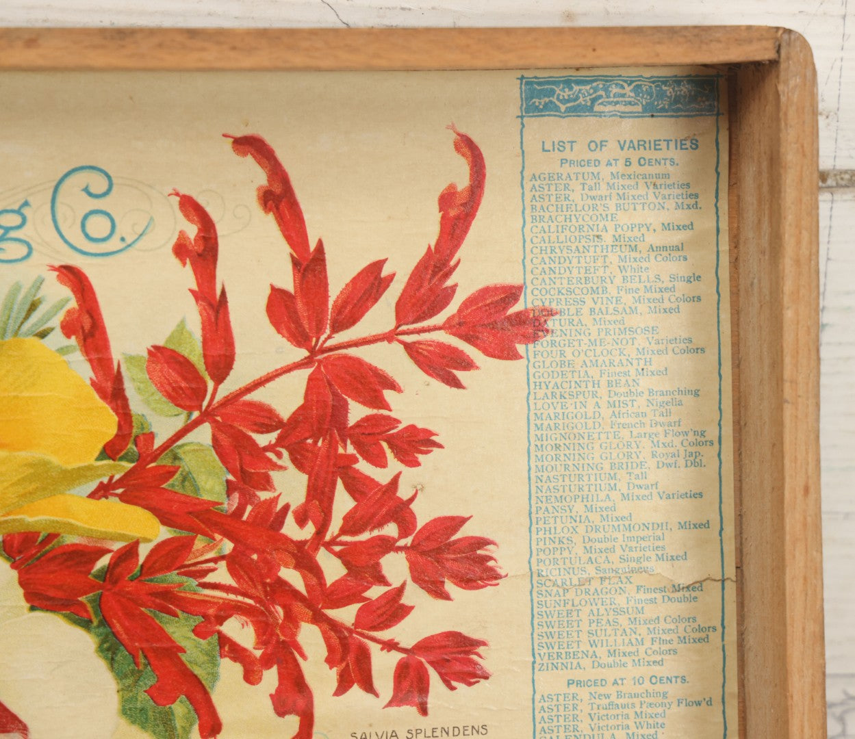 Lot 022 - Antique Flower Seed Store Wooden Display Box With Interior Lithographed Paper Label, Mandeville & King Co., Superior Flower Seeds, Rochester, New York, Copyright 1904, Label By Stecher Lithograph Co.