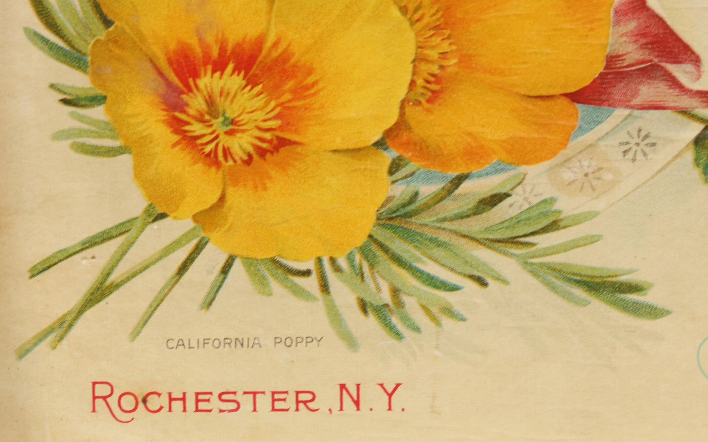 Lot 022 - Antique Flower Seed Store Wooden Display Box With Interior Lithographed Paper Label, Mandeville & King Co., Superior Flower Seeds, Rochester, New York, Copyright 1904, Label By Stecher Lithograph Co.