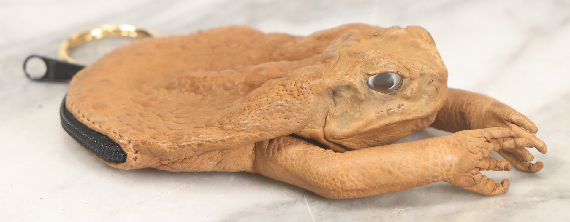 Lot 041 - Modern Oddity Novelty Taxidermy Toad Zippered Coin Pouch Keychain