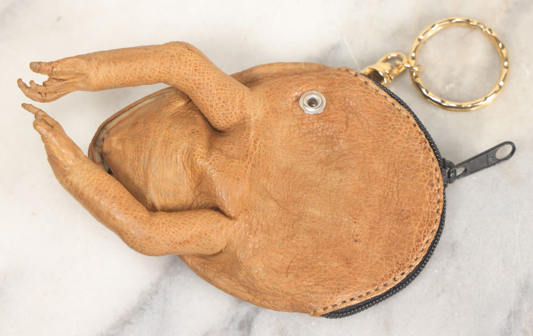 Lot 041 - Modern Oddity Novelty Taxidermy Toad Zippered Coin Pouch Keychain