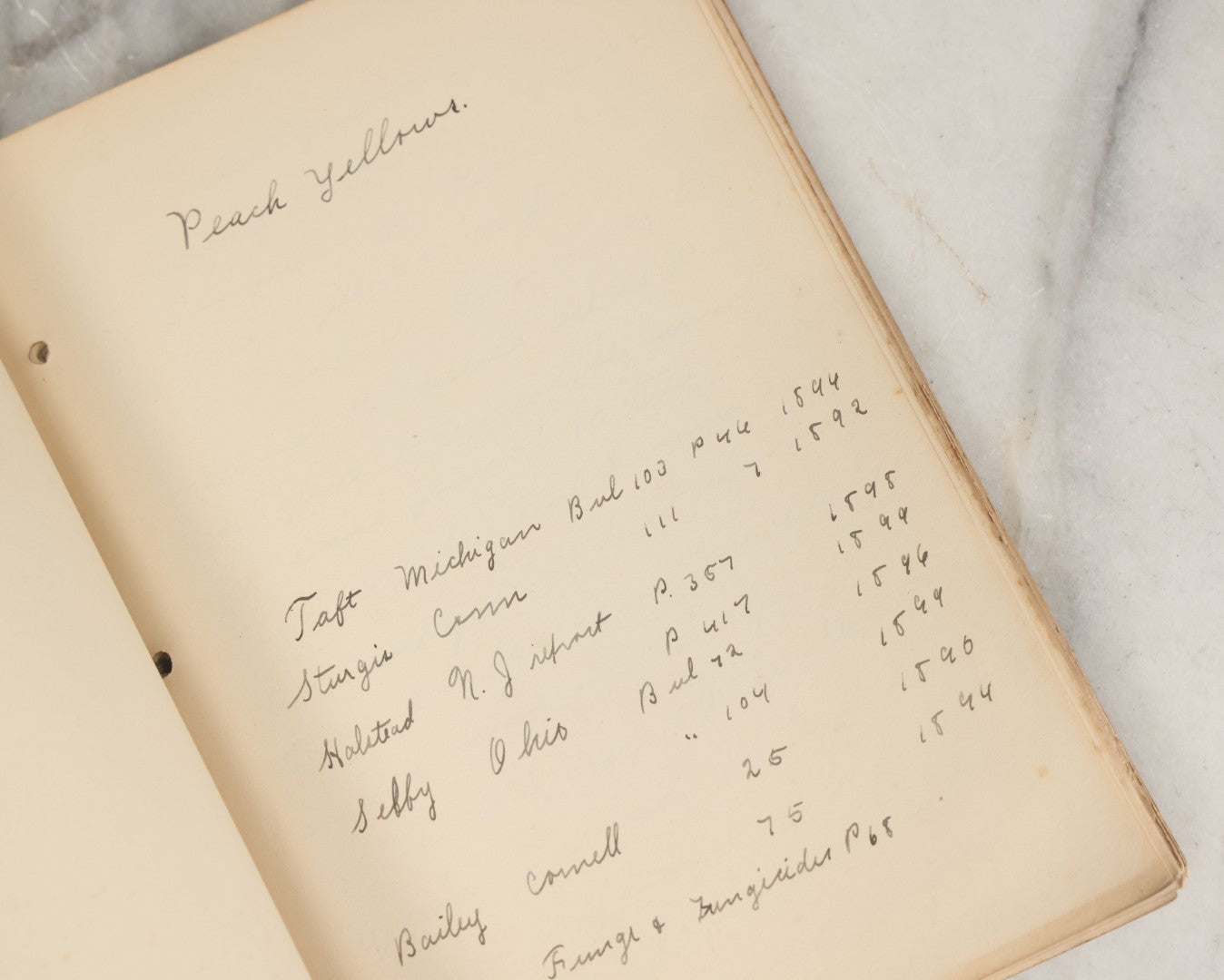 Lot 046 - Antique New Hampshire College Course Notebook For "Plant Diseases And Their Remedies" Having Belonged To Arthur G. Dunn, Durham And Harrisville, New Hampshire, 1904, With Handwritten Notes Taken In Course Of Study