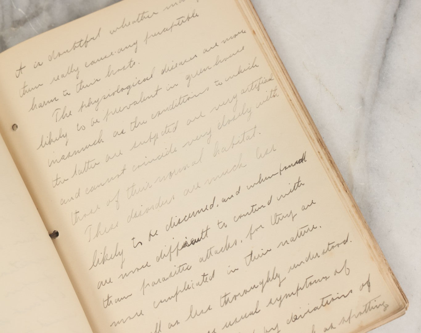 Lot 046 - Antique New Hampshire College Course Notebook For "Plant Diseases And Their Remedies" Having Belonged To Arthur G. Dunn, Durham And Harrisville, New Hampshire, 1904, With Handwritten Notes Taken In Course Of Study