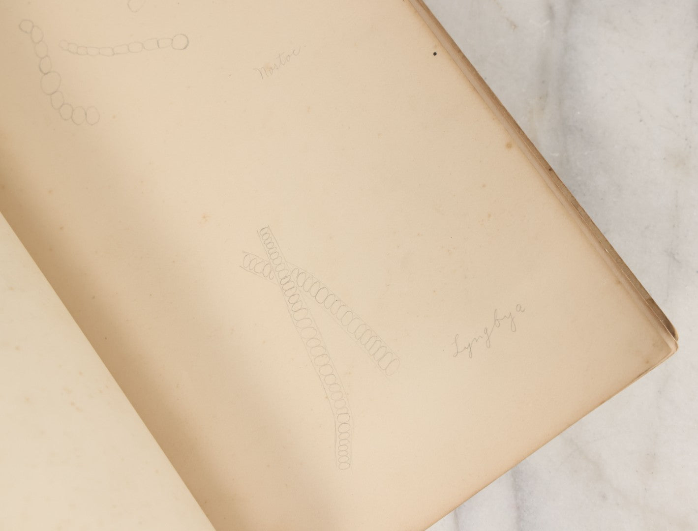 Lot 046 - Antique New Hampshire College Course Notebook For "Plant Diseases And Their Remedies" Having Belonged To Arthur G. Dunn, Durham And Harrisville, New Hampshire, 1904, With Handwritten Notes Taken In Course Of Study