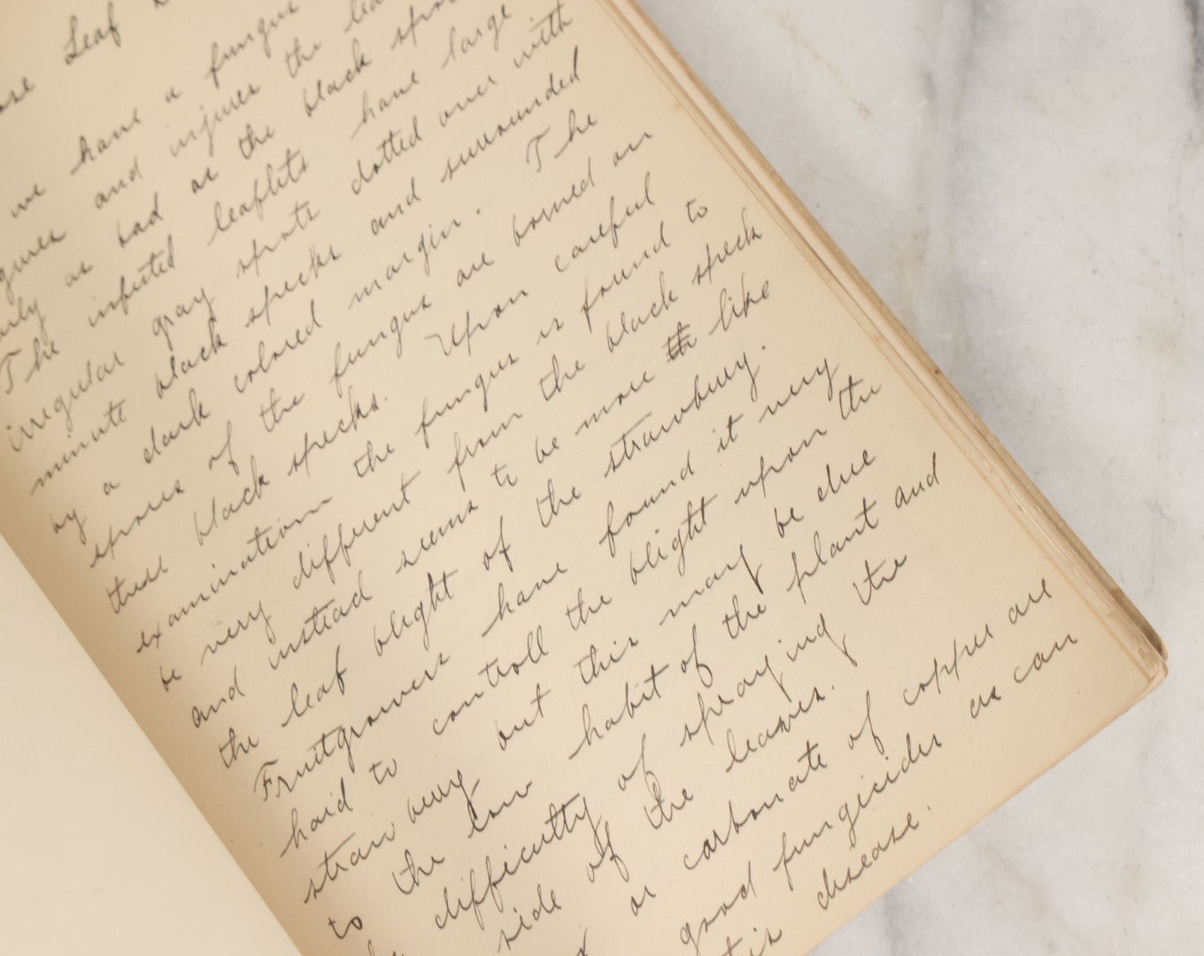 Lot 046 - Antique New Hampshire College Course Notebook For "Plant Diseases And Their Remedies" Having Belonged To Arthur G. Dunn, Durham And Harrisville, New Hampshire, 1904, With Handwritten Notes Taken In Course Of Study