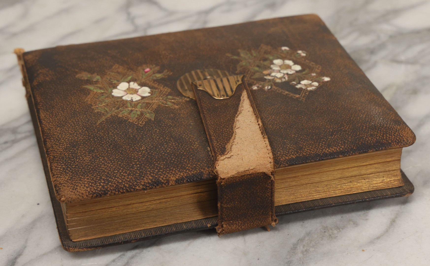 Lot 067 - Antique Victorian Cabinet Card Photo Album With Thirteen Cabinet Card Portrait Photographs Of The Seavey Family, Including Many Photos With Identification