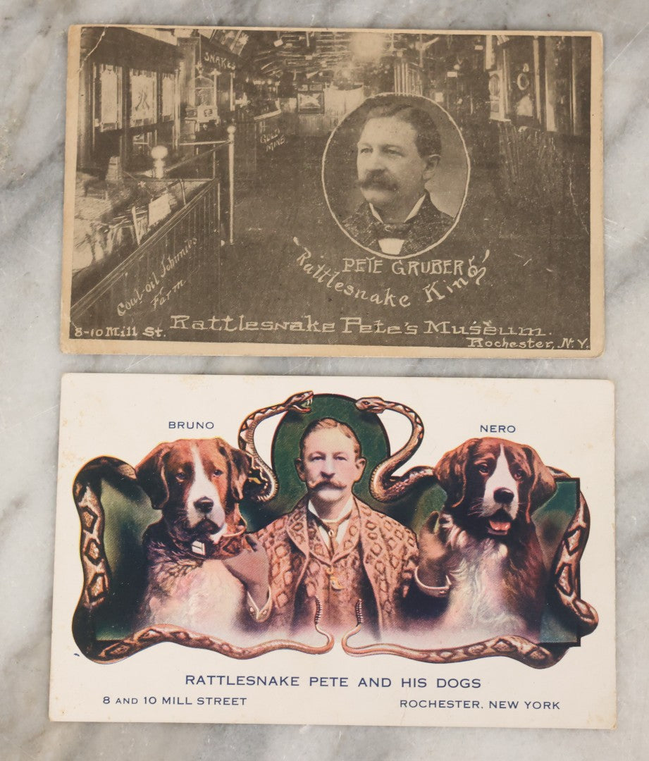Lot 080 - Pair Of Antique Sideshow Souvenir Postcards Advertising Rattlesnake Pete's Museum, Rochester, New York, Including "Rattlesnake Pete And His Dogs" And Pete Gruber "Rattlesnake King"