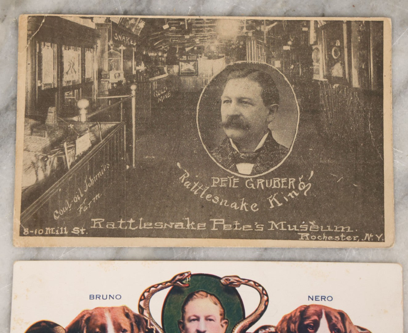 Lot 080 - Pair Of Antique Sideshow Souvenir Postcards Advertising Rattlesnake Pete's Museum, Rochester, New York, Including "Rattlesnake Pete And His Dogs" And Pete Gruber "Rattlesnake King"