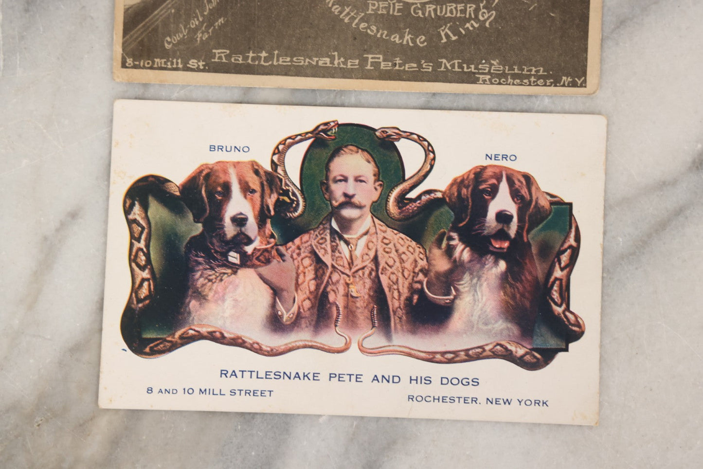 Lot 080 - Pair Of Antique Sideshow Souvenir Postcards Advertising Rattlesnake Pete's Museum, Rochester, New York, Including "Rattlesnake Pete And His Dogs" And Pete Gruber "Rattlesnake King"