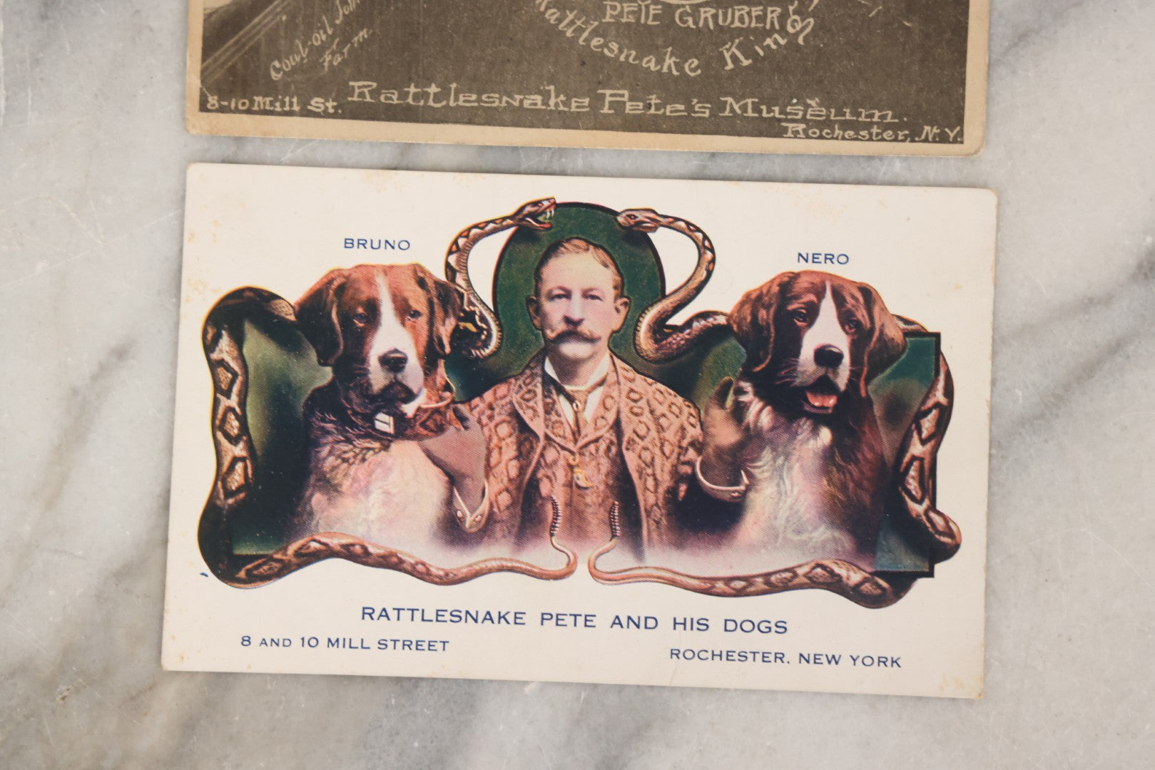 Lot 080 - Pair Of Antique Sideshow Souvenir Postcards Advertising Rattlesnake Pete's Museum, Rochester, New York, Including "Rattlesnake Pete And His Dogs" And Pete Gruber "Rattlesnake King"