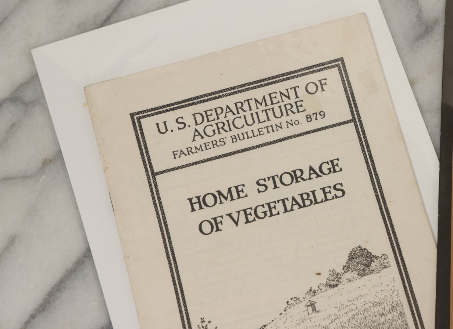 Lot 102 - Five Piece Ephemera Grouping Including "On, Wisconsin! March Song," Embroidered Forget Me Not Postcard, U.S.D.A. "Home Storage Of Vegetables" Booklet, Republican Election Ticket, And Tintype Of Elderly Man And Woman