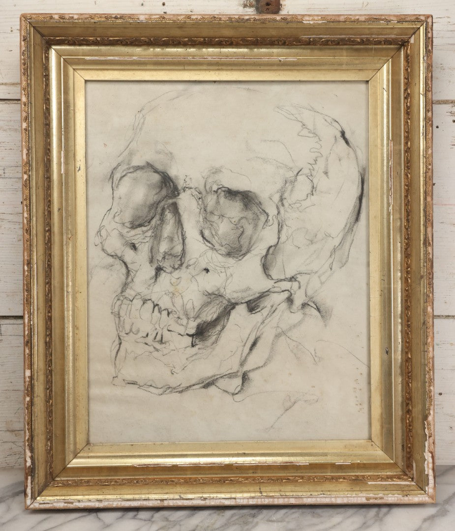Lot 003 - Vintage Hand-Drawn Academic Human Skull Study, Charcoal On Paper, With Expressive Line Work, In Worn Antique Gilt Frame, 20-1/2" x 24-1/2"