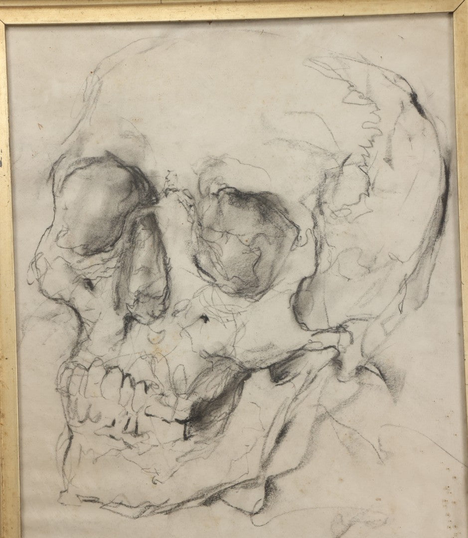 Lot 003 - Vintage Hand-Drawn Academic Human Skull Study, Charcoal On Paper, With Expressive Line Work, In Worn Antique Gilt Frame, 20-1/2" x 24-1/2"