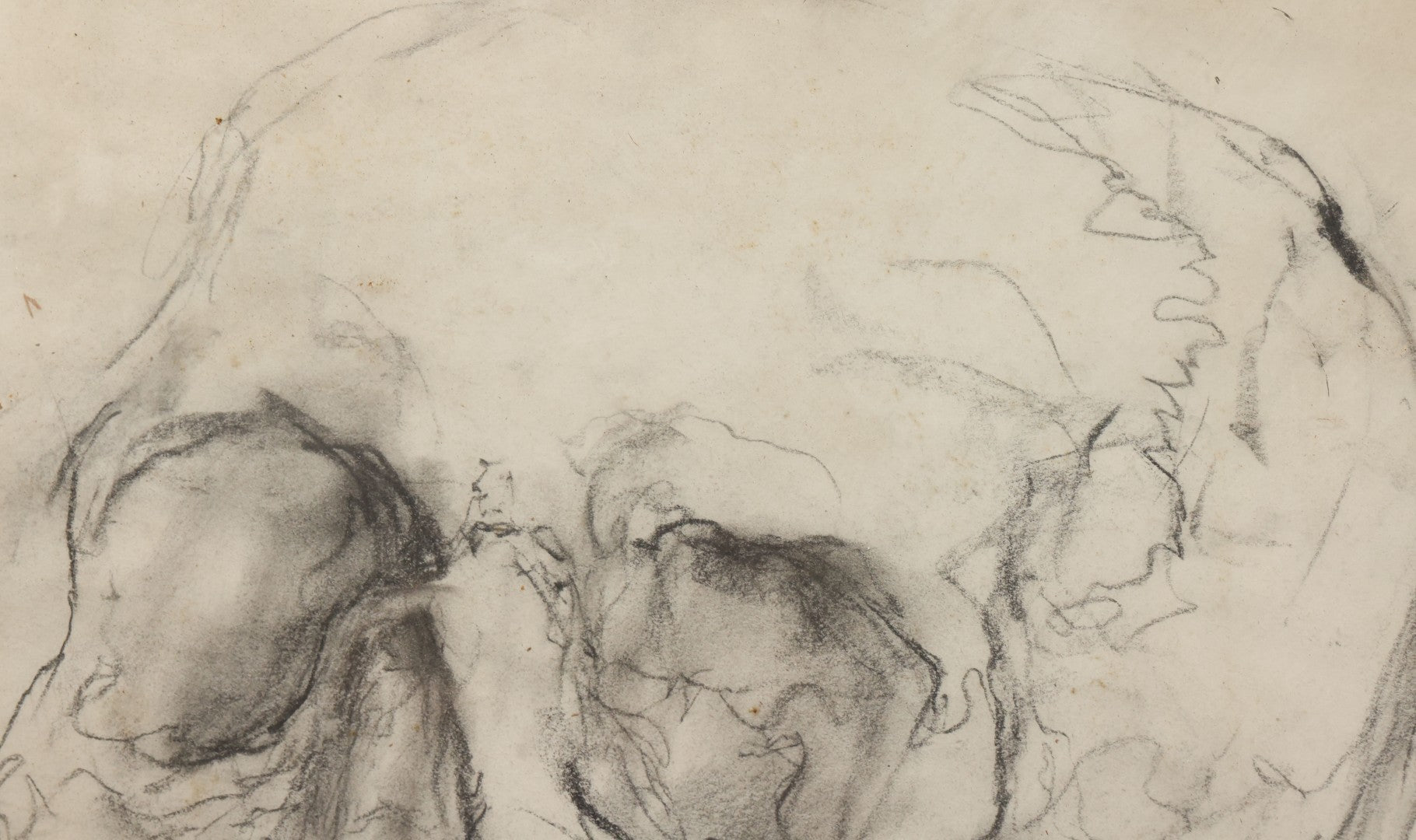 Lot 003 - Vintage Hand-Drawn Academic Human Skull Study, Charcoal On Paper, With Expressive Line Work, In Worn Antique Gilt Frame, 20-1/2" x 24-1/2"