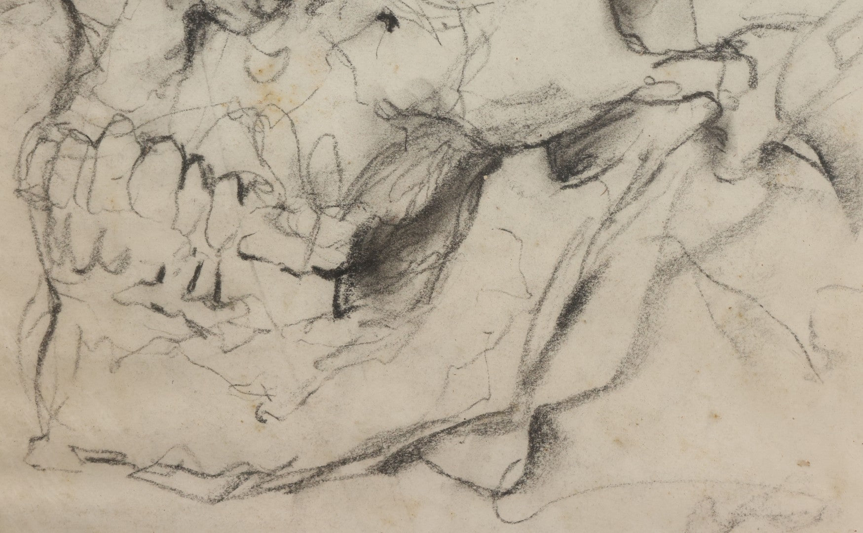 Lot 003 - Vintage Hand-Drawn Academic Human Skull Study, Charcoal On Paper, With Expressive Line Work, In Worn Antique Gilt Frame, 20-1/2" x 24-1/2"