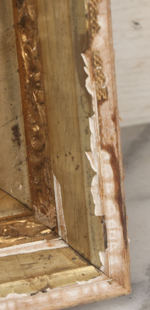 Lot 003 - Vintage Hand-Drawn Academic Human Skull Study, Charcoal On Paper, With Expressive Line Work, In Worn Antique Gilt Frame, 20-1/2" x 24-1/2"