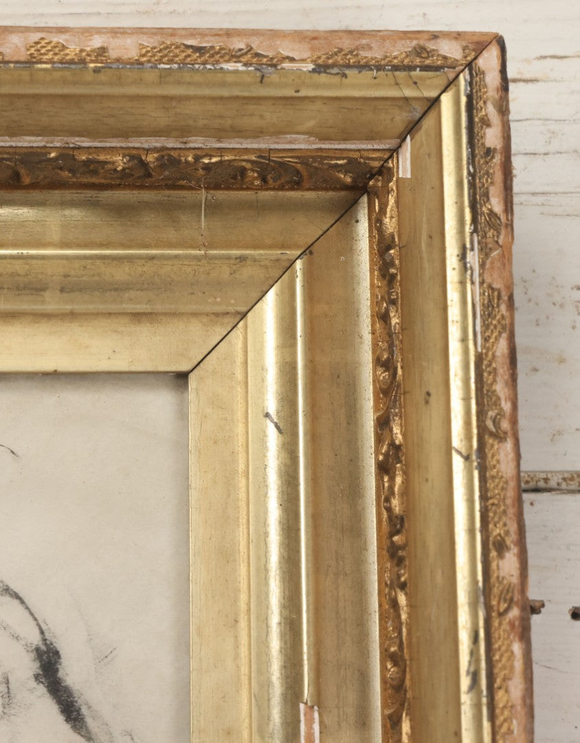 Lot 003 - Vintage Hand-Drawn Academic Human Skull Study, Charcoal On Paper, With Expressive Line Work, In Worn Antique Gilt Frame, 20-1/2" x 24-1/2"