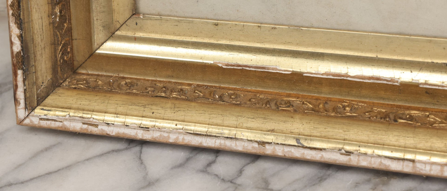 Lot 003 - Vintage Hand-Drawn Academic Human Skull Study, Charcoal On Paper, With Expressive Line Work, In Worn Antique Gilt Frame, 20-1/2" x 24-1/2"