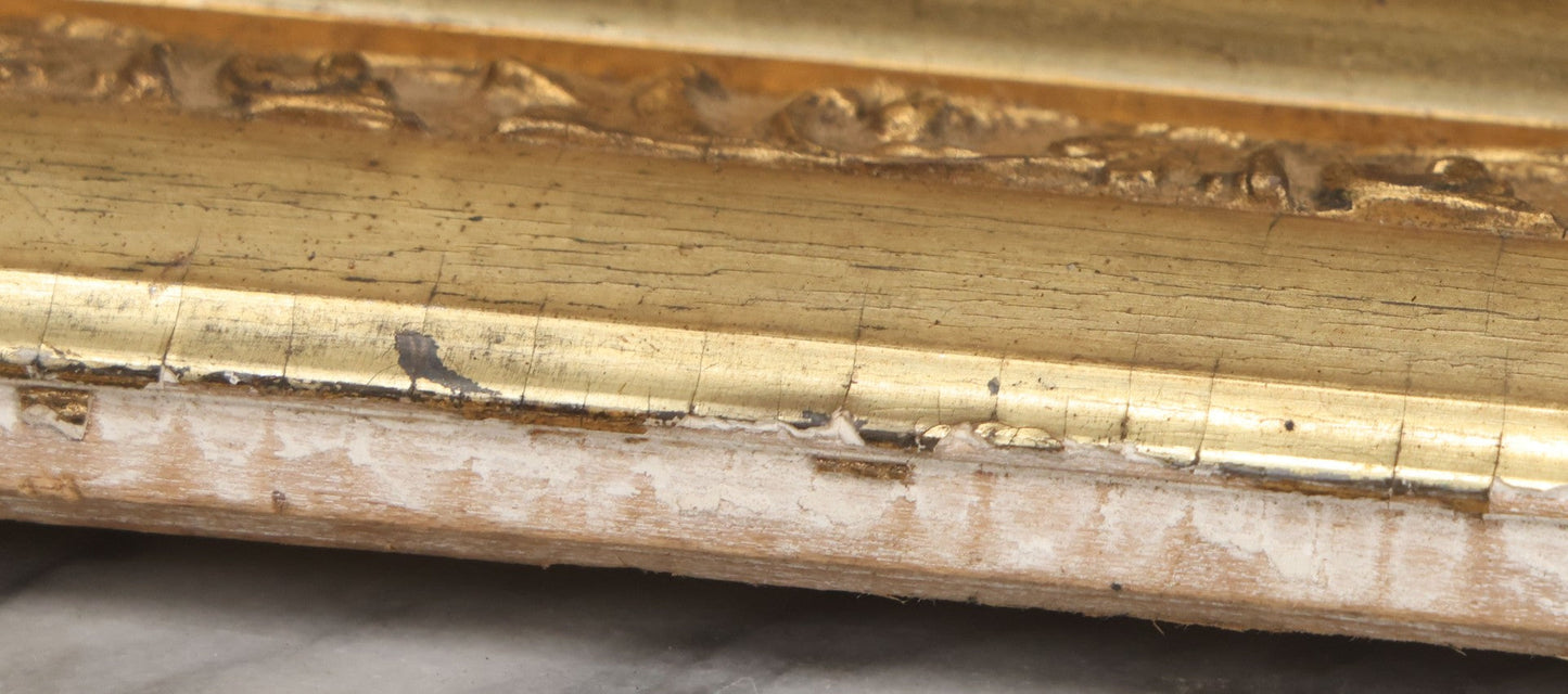 Lot 003 - Vintage Hand-Drawn Academic Human Skull Study, Charcoal On Paper, With Expressive Line Work, In Worn Antique Gilt Frame, 20-1/2" x 24-1/2"