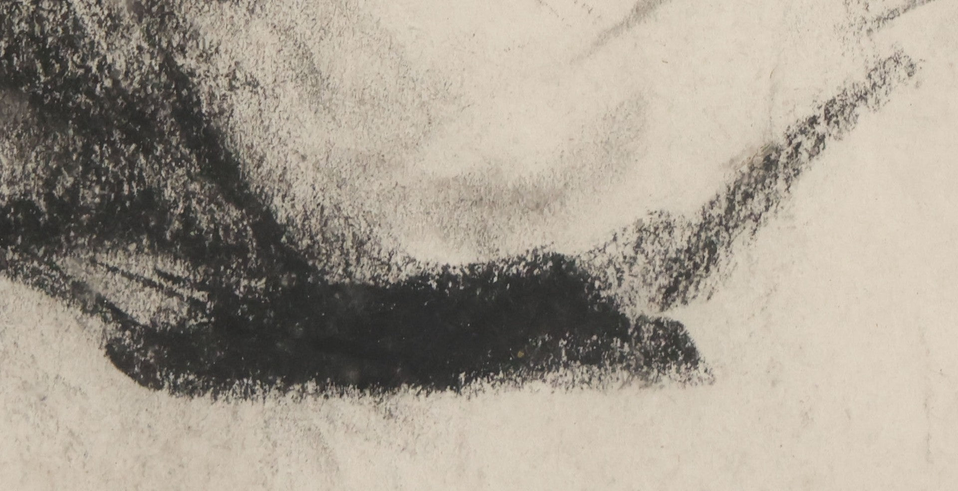 Lot 004 - Vintage Hand-Drawn Academic Human Skull Study, Charcoal On Paper, With Dark Shading, In Antique Wood Frame, 17-5/8" x 19-1/8"