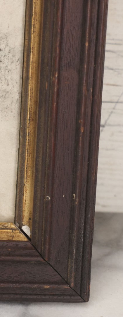 Lot 004 - Vintage Hand-Drawn Academic Human Skull Study, Charcoal On Paper, With Dark Shading, In Antique Wood Frame, 17-5/8" x 19-1/8"