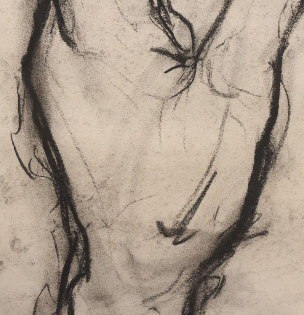 Lot 006 - Vintage Hand-Drawn Academic Anatomical Hand Study, Charcoal On Paper, In Vintage Wood Frame, 18-1/2" x 24-1/2"