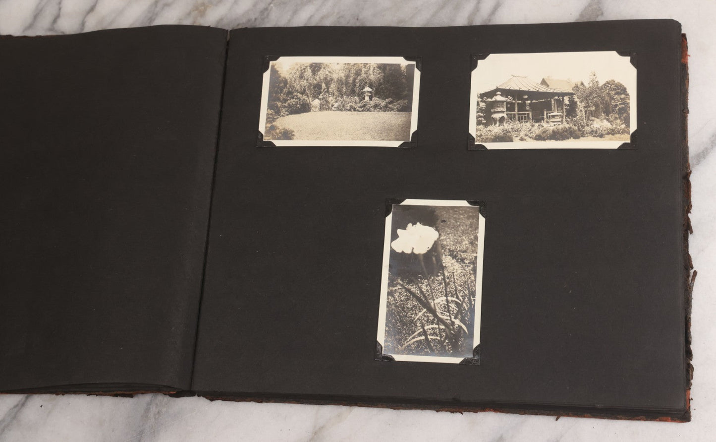 Lot 013 - Antique Snapshot Photo Album Containing 250+ Photographs Including Baseball Game & Player In An "Amherst" Jersey, Travel On Ship "Cape Diamond," Quebec, Italy, Hot Air Balloons, Early Passenger Airplane, Egyptian Pyramids And Sphinx, Circa 1920