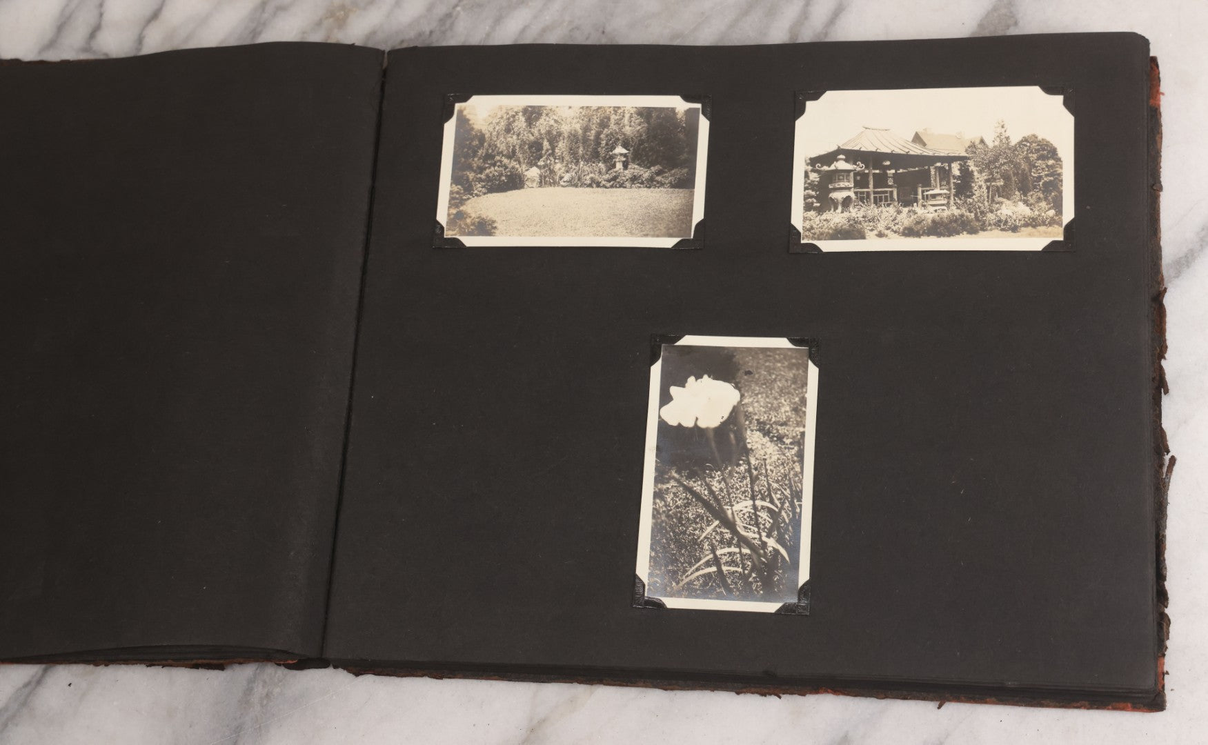 Lot 013 - Antique Snapshot Photo Album Containing 250+ Photographs Including Baseball Game & Player In An "Amherst" Jersey, Travel On Ship "Cape Diamond," Quebec, Italy, Hot Air Balloons, Early Passenger Airplane, Egyptian Pyramids And Sphinx, Circa 1920
