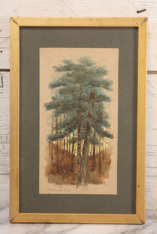 Lot 032 - Antique Watercolor Landscape Painting Of Pine Trees, Woods, Titled "Under The Pines," Unsigned, In Original Frame, Framed By Wilbur Emery Window Shades And And Picture Framing, Meredith, New Hampshire, 7-7/8" x 11-7/8"