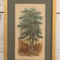 Lot 032 - Antique Watercolor Landscape Painting Of Pine Trees, Woods, Titled "Under The Pines," Unsigned, In Original Frame, Framed By Wilbur Emery Window Shades And And Picture Framing, Meredith, New Hampshire, 7-7/8" x 11-7/8"