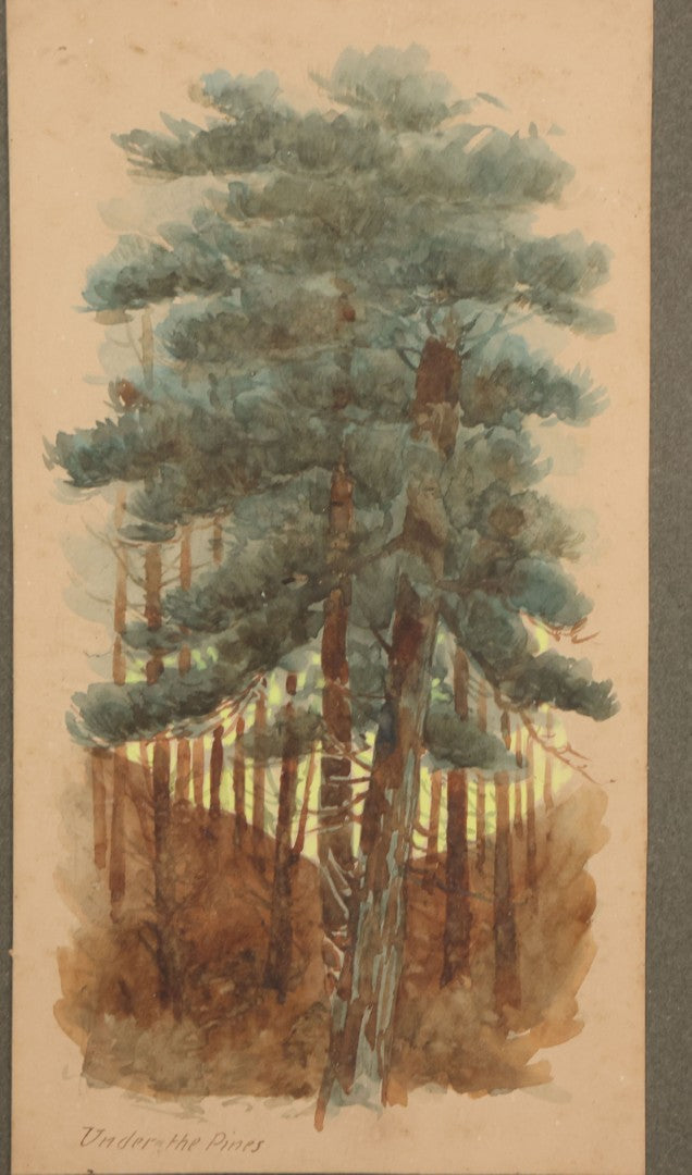 Lot 032 - Antique Watercolor Landscape Painting Of Pine Trees, Woods, Titled "Under The Pines," Unsigned, In Original Frame, Framed By Wilbur Emery Window Shades And And Picture Framing, Meredith, New Hampshire, 7-7/8" x 11-7/8"