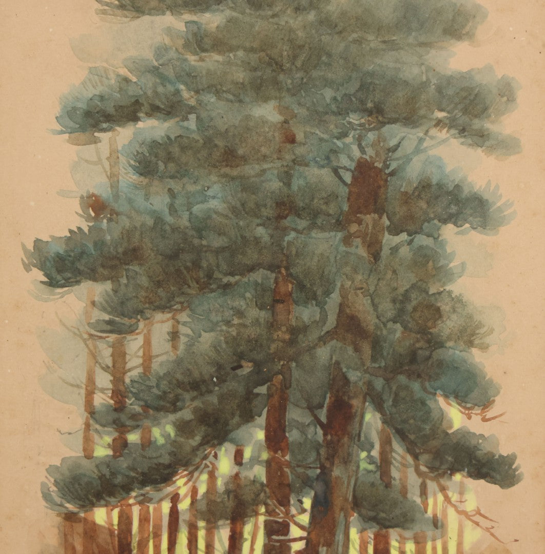 Lot 032 - Antique Watercolor Landscape Painting Of Pine Trees, Woods, Titled "Under The Pines," Unsigned, In Original Frame, Framed By Wilbur Emery Window Shades And And Picture Framing, Meredith, New Hampshire, 7-7/8" x 11-7/8"