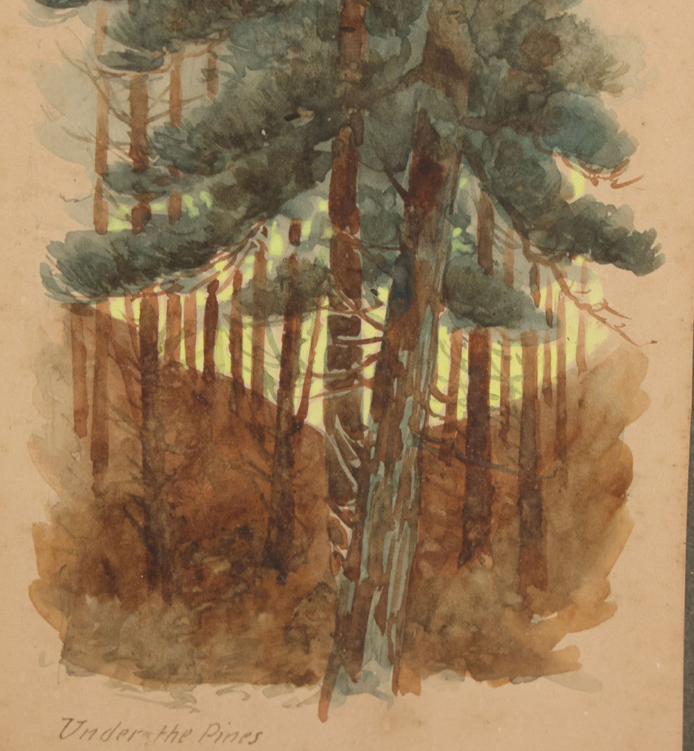 Lot 032 - Antique Watercolor Landscape Painting Of Pine Trees, Woods, Titled "Under The Pines," Unsigned, In Original Frame, Framed By Wilbur Emery Window Shades And And Picture Framing, Meredith, New Hampshire, 7-7/8" x 11-7/8"
