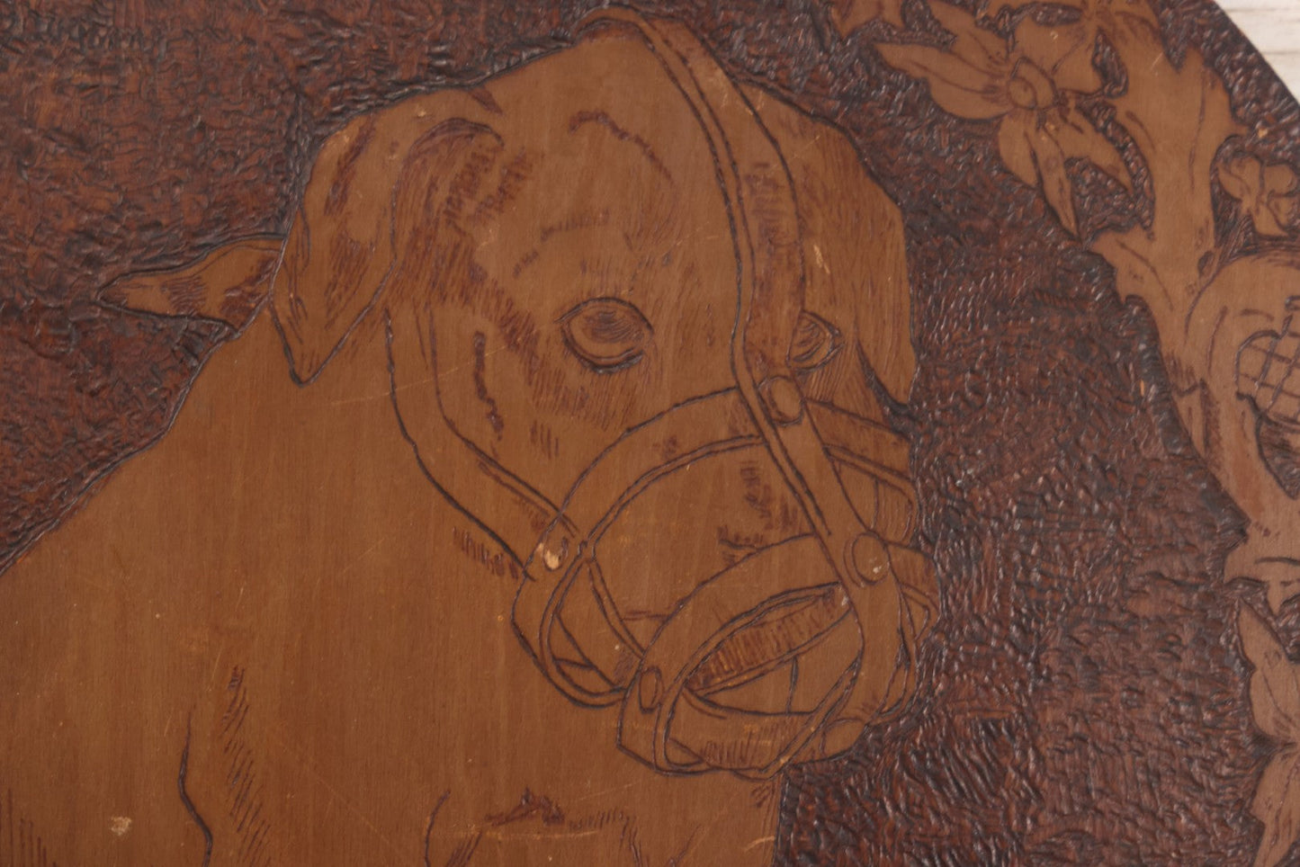 Lot 052 - Antique Pyrography Flemish Art Wood Burned Muzzled Puppy Dog Wall Hanger, 18" Diameter