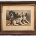 Lot 053 - Antique Hand Colored Lithograph Of Three Puppies, Titled "The Playful Family," Published By Currier And Ives, New York, In Deep Double Frame, 20-1/8" x 16-1/8"