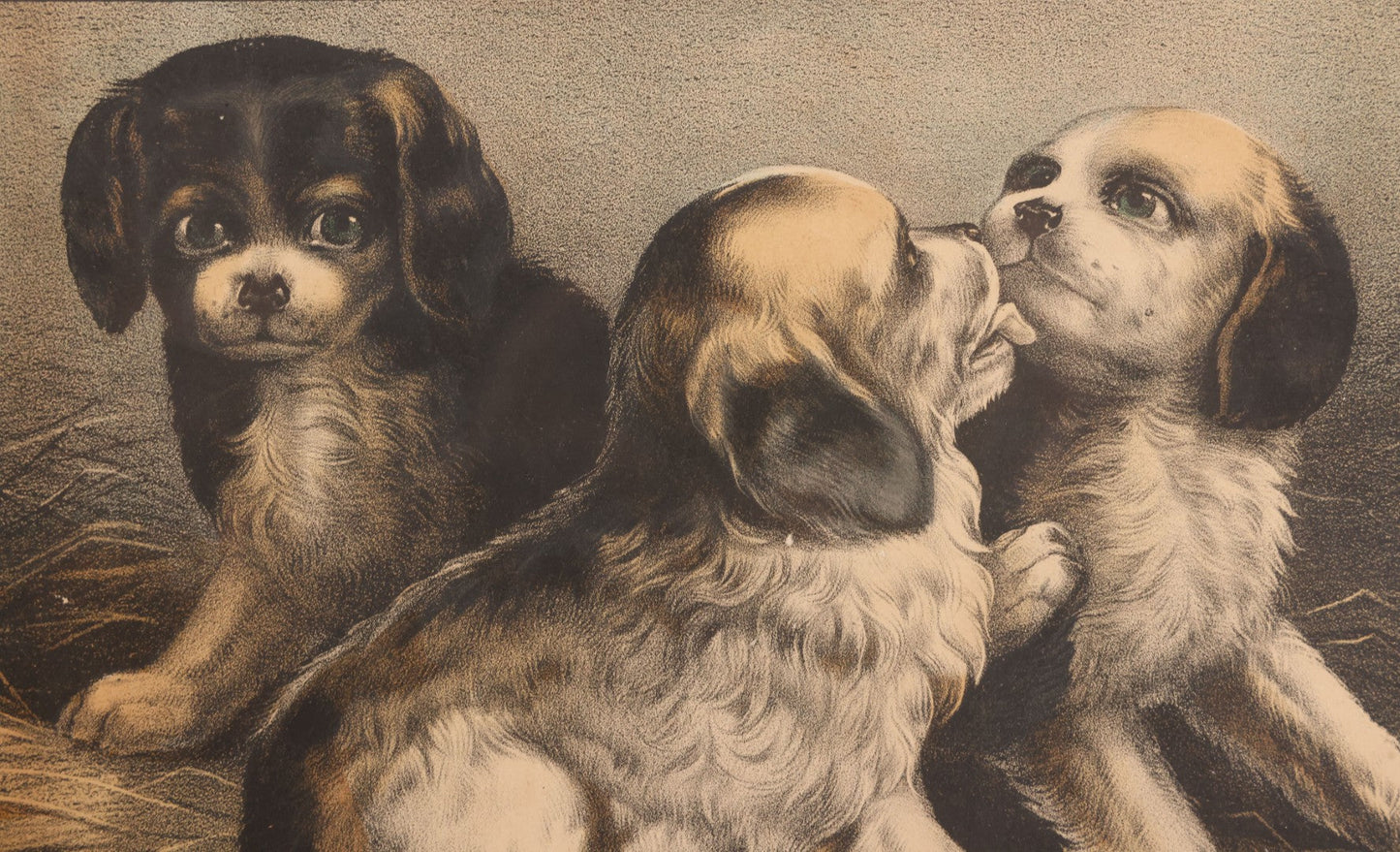 Lot 053 - Antique Hand Colored Lithograph Of Three Puppies, Titled "The Playful Family," Published By Currier And Ives, New York, In Deep Double Frame, 20-1/8" x 16-1/8"