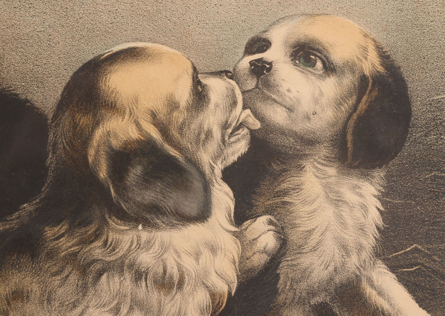 Lot 053 - Antique Hand Colored Lithograph Of Three Puppies, Titled "The Playful Family," Published By Currier And Ives, New York, In Deep Double Frame, 20-1/8" x 16-1/8"