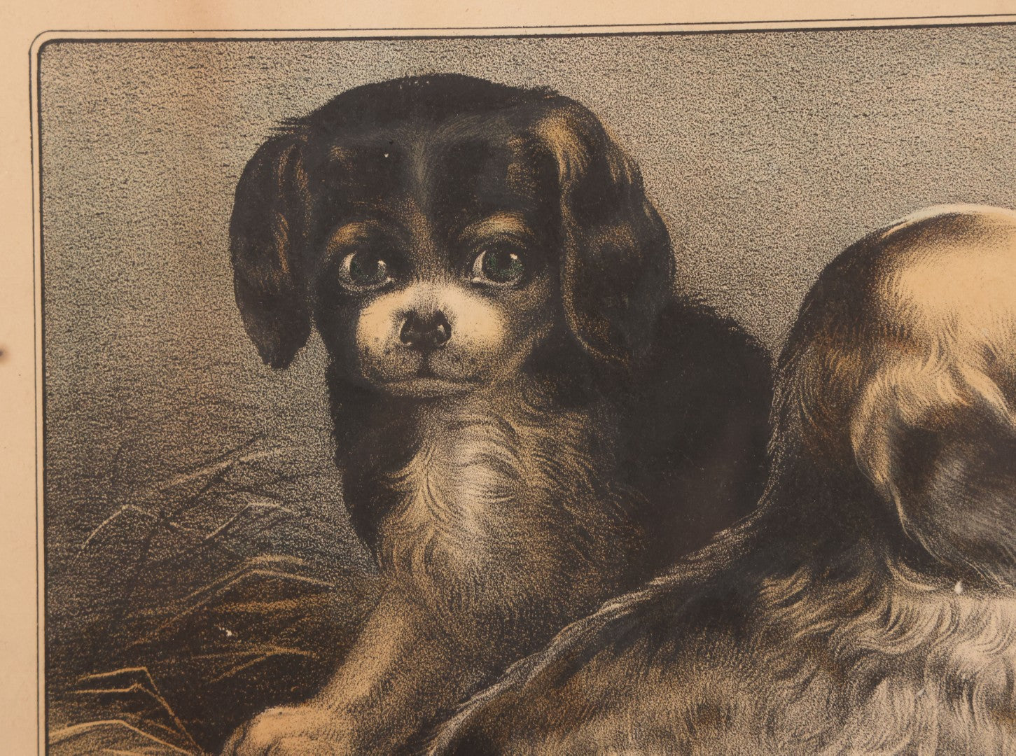 Lot 053 - Antique Hand Colored Lithograph Of Three Puppies, Titled "The Playful Family," Published By Currier And Ives, New York, In Deep Double Frame, 20-1/8" x 16-1/8"