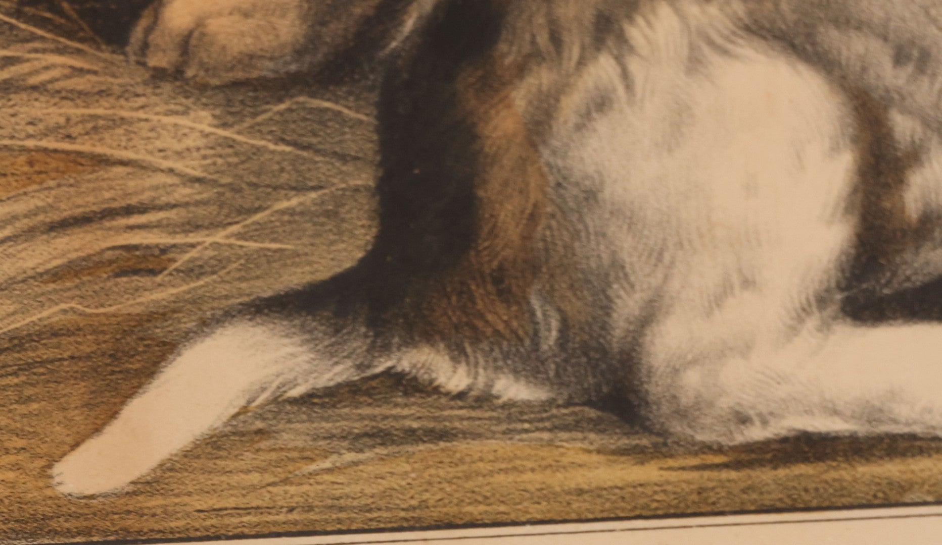 Lot 053 - Antique Hand Colored Lithograph Of Three Puppies, Titled "The Playful Family," Published By Currier And Ives, New York, In Deep Double Frame, 20-1/8" x 16-1/8"