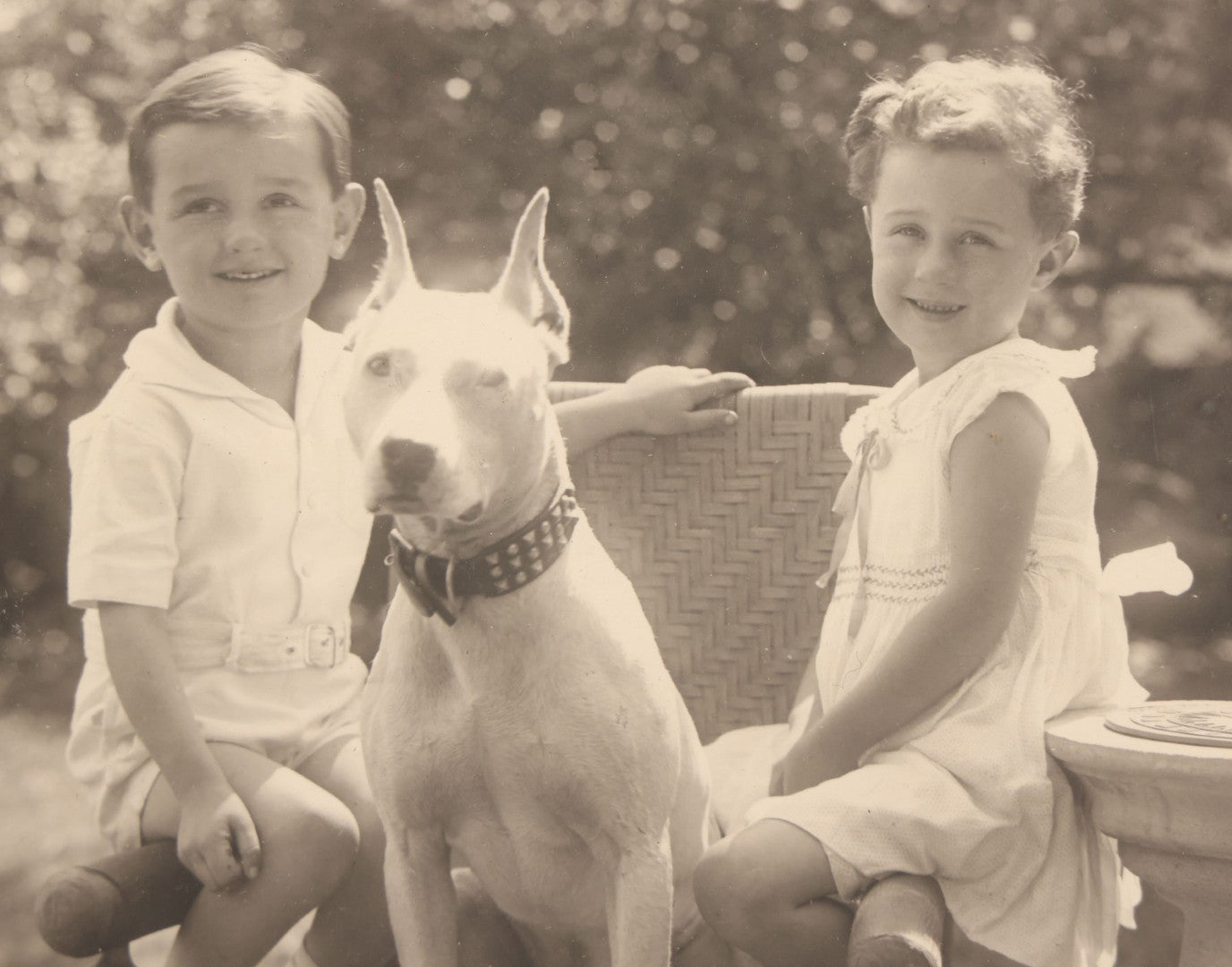 Lot 054 - Vintage Black And White Photograph Of Two Children Posing With Their English Bull Terrier Dog In Yard, In Frame, Framed By Donaldson's, Lowell, Massachusetts, 8-1/8" x 9-7/8"