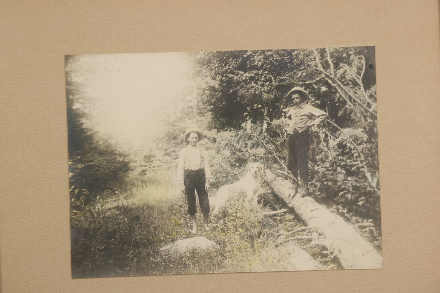 Lot 055 - Antique Green Tinted Black And White Photograph Of Two Boys Posing With Their Yellow Labrador Retriever Dog In The Woods, In Frame, 10-5/8" x 8-3/4"