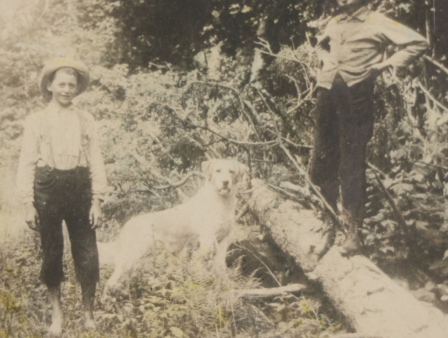 Lot 055 - Antique Green Tinted Black And White Photograph Of Two Boys Posing With Their Yellow Labrador Retriever Dog In The Woods, In Frame, 10-5/8" x 8-3/4"