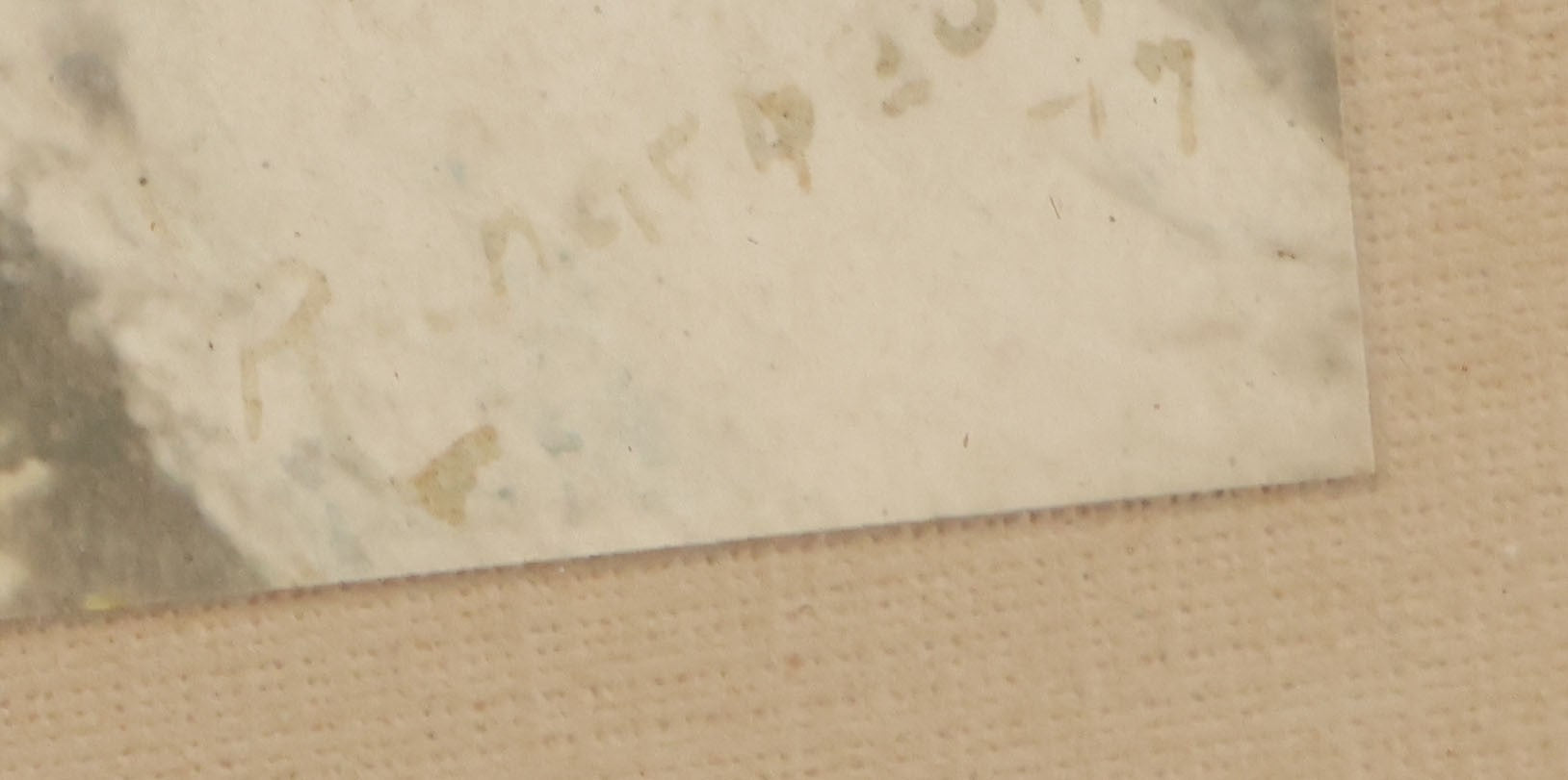 Lot 055 - Antique Green Tinted Black And White Photograph Of Two Boys Posing With Their Yellow Labrador Retriever Dog In The Woods, In Frame, 10-5/8" x 8-3/4"