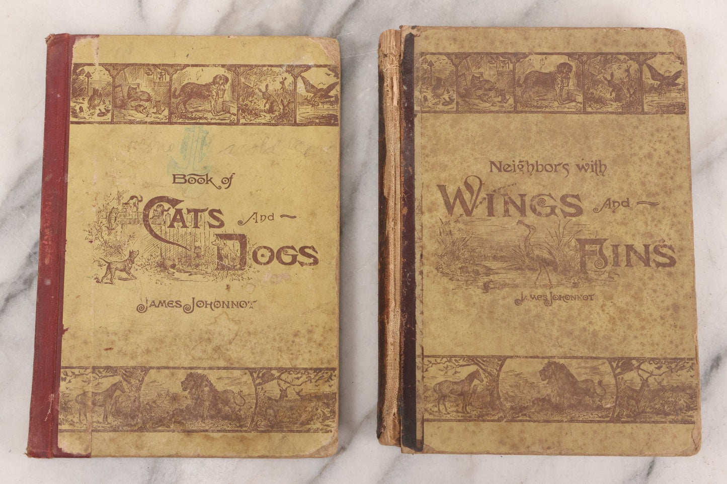 Lot 056 - Pair Of Antique Illustrated Children's Books By James Johonnot, Including "Book Of Cats And Dogs (1884) And "Neighbors With Wings And Fins" (1885), American Book Company, Publishers