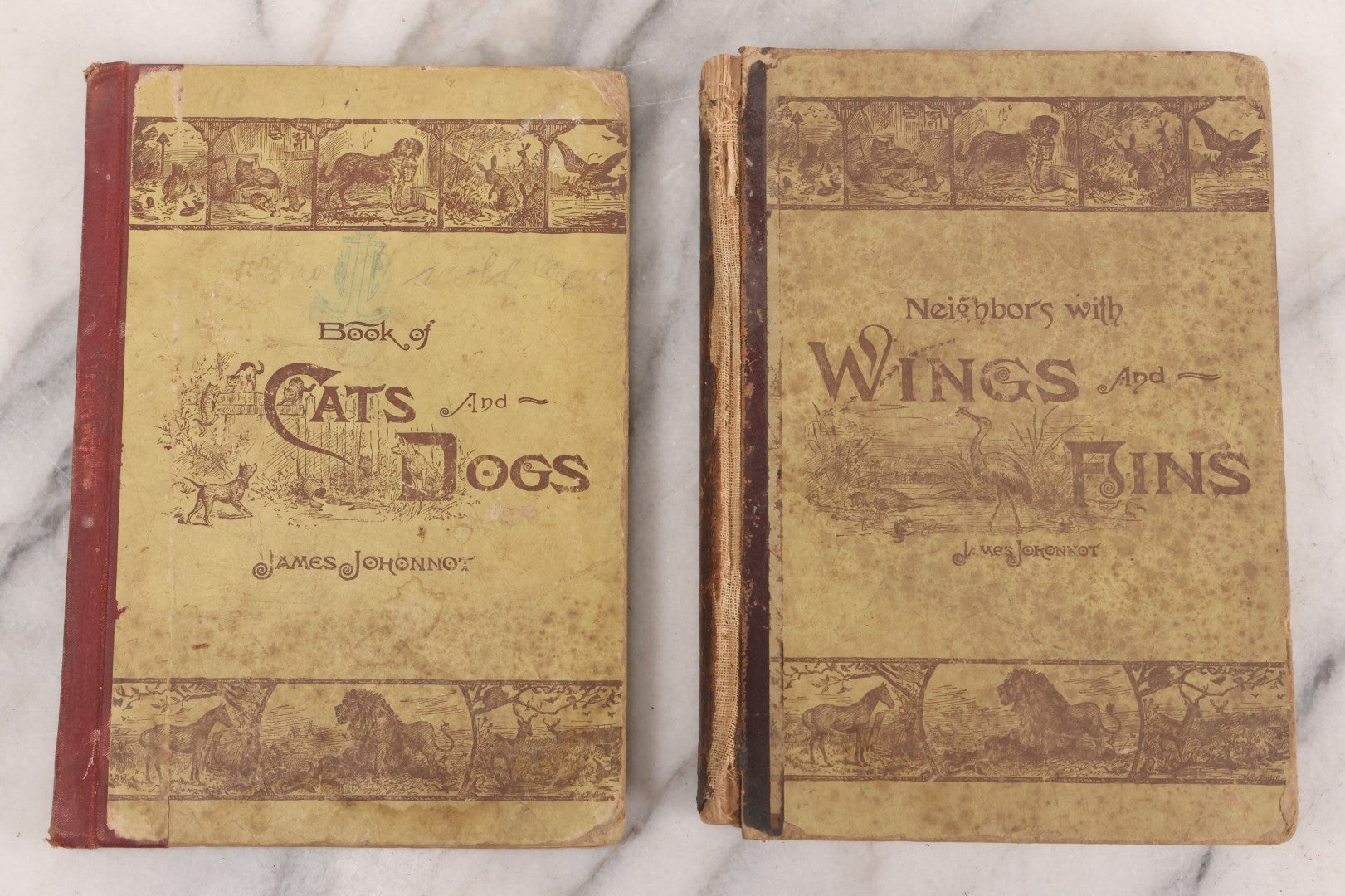 Lot 056 - Pair Of Antique Illustrated Children's Books By James Johonnot, Including "Book Of Cats And Dogs (1884) And "Neighbors With Wings And Fins" (1885), American Book Company, Publishers