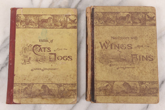 Lot 056 - Pair Of Antique Illustrated Children's Books By James Johonnot, Including "Book Of Cats And Dogs (1884) And "Neighbors With Wings And Fins" (1885), American Book Company, Publishers
