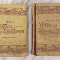 Lot 056 - Pair Of Antique Illustrated Children's Books By James Johonnot, Including "Book Of Cats And Dogs (1884) And "Neighbors With Wings And Fins" (1885), American Book Company, Publishers