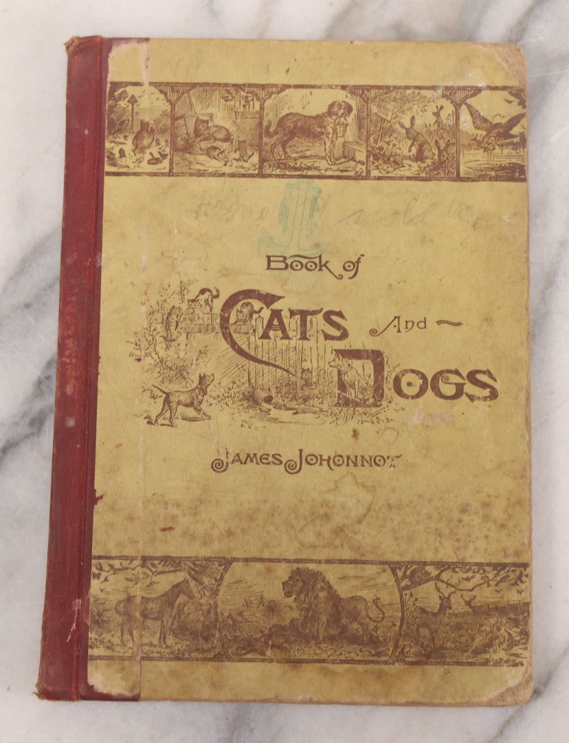 Lot 056 - Pair Of Antique Illustrated Children's Books By James Johonnot, Including "Book Of Cats And Dogs (1884) And "Neighbors With Wings And Fins" (1885), American Book Company, Publishers