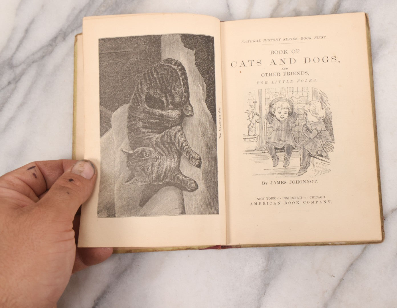 Lot 056 - Pair Of Antique Illustrated Children's Books By James Johonnot, Including "Book Of Cats And Dogs (1884) And "Neighbors With Wings And Fins" (1885), American Book Company, Publishers